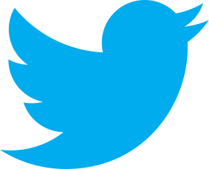 Twitter_logo_bird_transparent_png